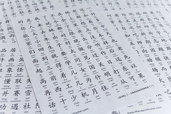 Mandarin Poster Learn Chinese - 
